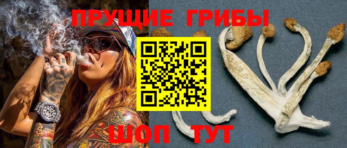 Горячий Ключ  Псилоцибиновые грибы MAGIC MUSHROOMS  Вход с VPN  дарнет шоп  Галлюциногенные грибы Magic Shrooms 