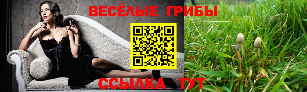 Галлюциногенные грибы MAGIC MUSHROOMS Горячий Ключ