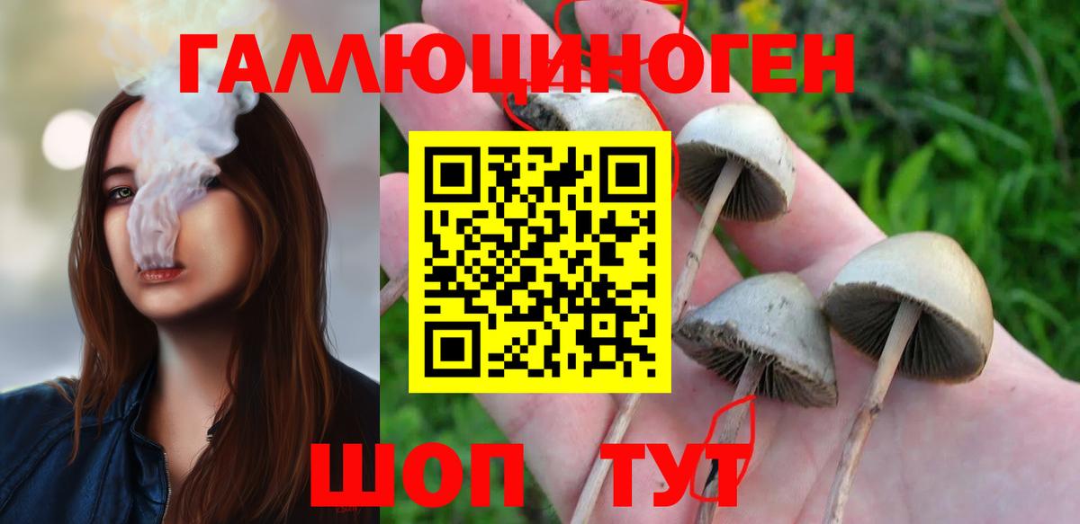 Галлюциногенные грибы мухоморы  Горячий Ключ  Псилоцибиновые грибы прущие грибы 