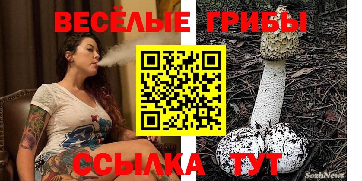 Псилоцибиновые грибы ЛСД Горячий Ключ